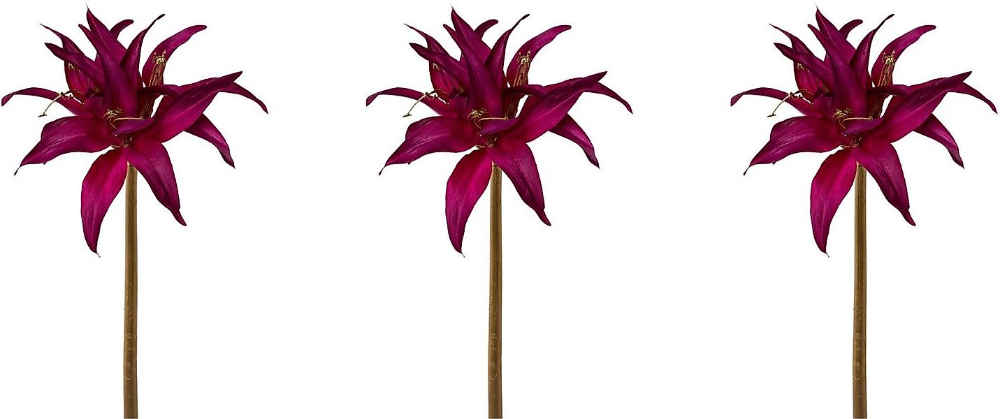 Winterliche Kunstpflanze Weihnachtsdeko Amaryllis, Creativ green, Höhe 52 c günstig online kaufen