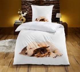 KiNZLER Bettwäsche "Hund & Katze" 2 Stk. tlg. aus Baumwoll-Renforcé günstig online kaufen