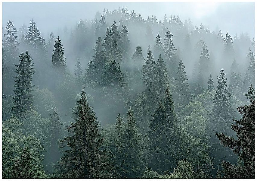 Wallarena Fototapete Wald Berge Nebel Vlies Tapete Wohnzimmer Schlafzimmer günstig online kaufen