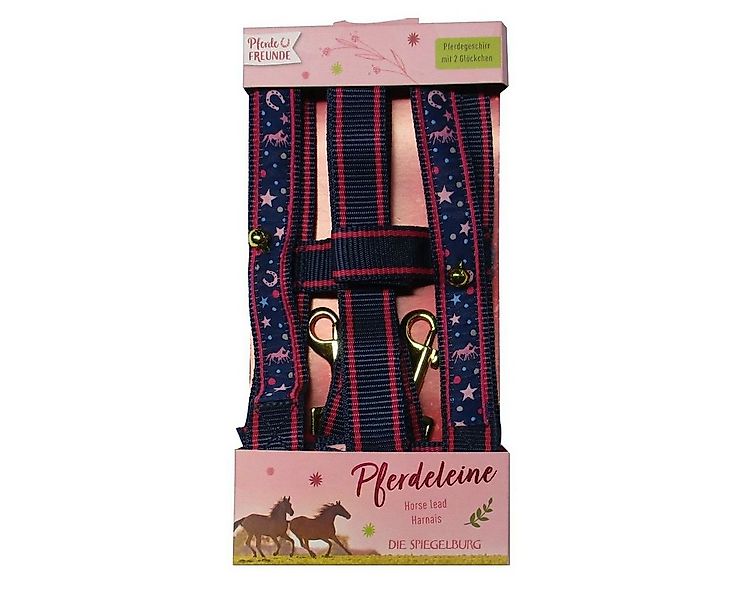 COPPENRATH DIE SPIEGELBURG Spielwerkzeug Coppenrath 13813 - Die Spiegelburg günstig online kaufen