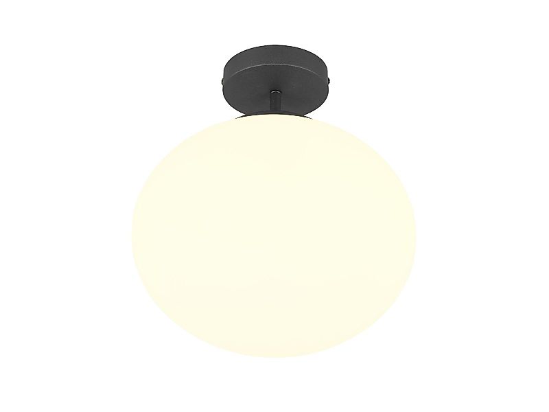 TRIO Leuchten LED Deckenleuchte, Dimmfunktion, LED günstig online kaufen