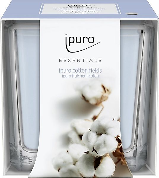 IPURO Duftkerze ipuro ESSENTIALS Duftkerze Cotton Fields 125 g günstig online kaufen