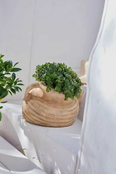 HOME Living Amphore Terracotta Blumentöpfe beige günstig online kaufen