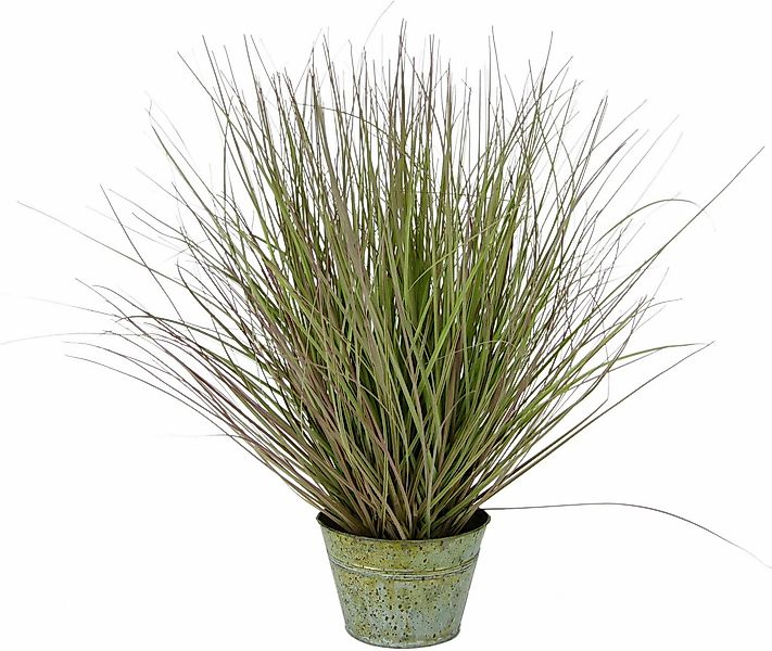 Kunstpflanze Grasbusch Gras, I.GE.A., Höhe 52 cm günstig online kaufen