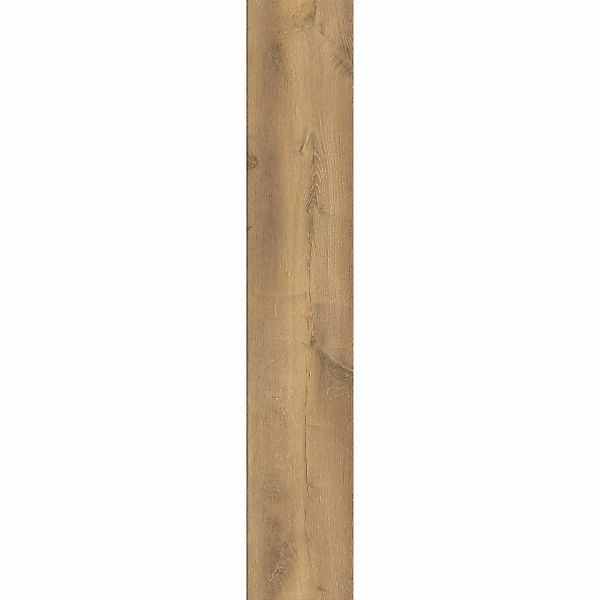 Kaindl Laminat 8,5 mm Eiche Creme günstig online kaufen