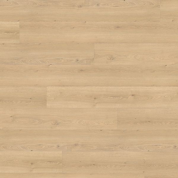 Living by Haro XL Laminat 8 mm Eiche Flavia Puro günstig online kaufen