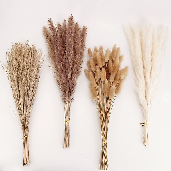 Trockenblume Pampasgras Trockenblumen Deko, 100 Stück günstig online kaufen