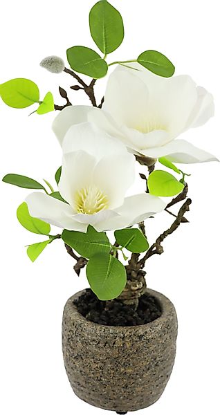 I.GE.A. Kunstblume "Magnolie im Topf" Künstlich wie echt Deko Blume Zimmerp günstig online kaufen