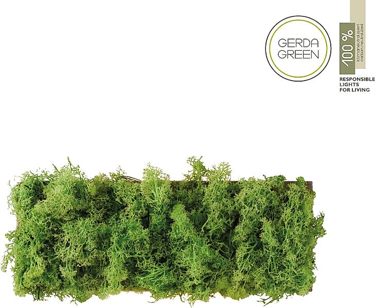 JUST LIGHT Wandleuchte GREEN CARL, LED günstig online kaufen