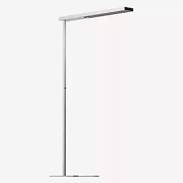 Grau Xt-a Plus Stehleuchte LED, satin/schwarz - 125 cm günstig online kaufen