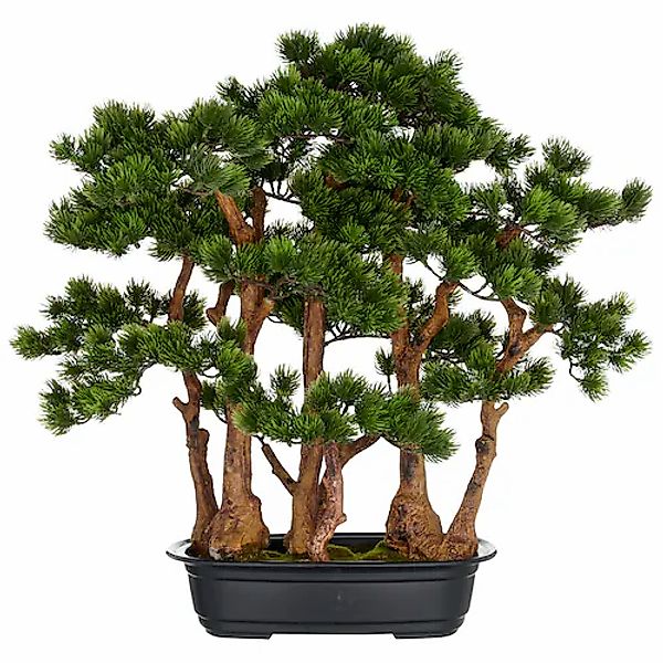 Creativ green Kunstbonsai »Bonsai Kiefer«, mit detailgetreuer Gestaltung günstig online kaufen