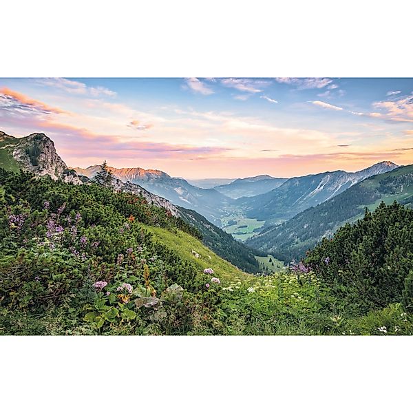 Komar Fototapete Vlies Alps  400 x 250 cm günstig online kaufen