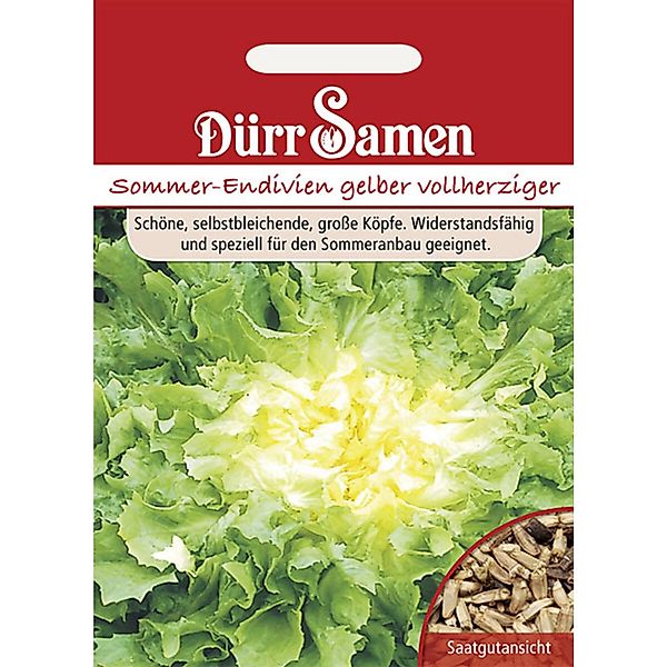 Dürr Samen Sommer-Endivien Gelber Vollherziger Saatgut günstig online kaufen