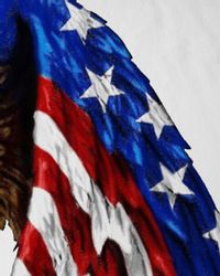 style3 T-Shirt US flagge unites states günstig online kaufen