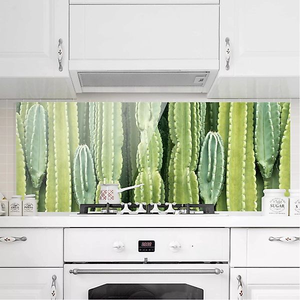 Glas Spritzschutz Botanik & Tropical - Panorama Kaktus Wand günstig online kaufen