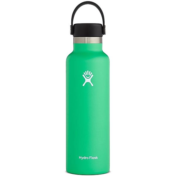 Hydro Flask 21 OZ Standard Mouth Flex Cap - Spearmint günstig online kaufen