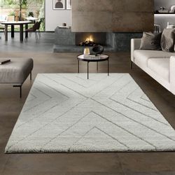 the carpet Teppich Bahar Shaggy, rechteckig, günstig online kaufen