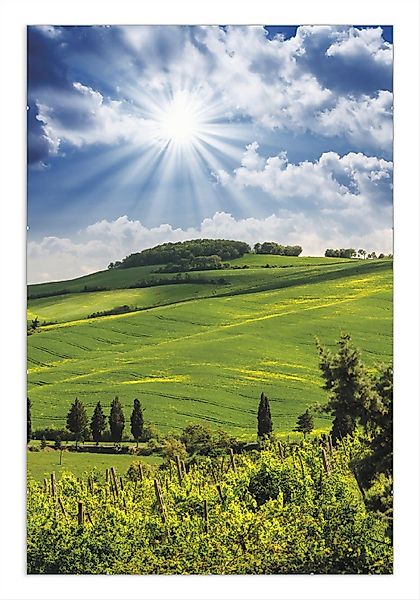 Wallario Poster, Strahlender Sonnenschein, in verschiedenen günstig online kaufen