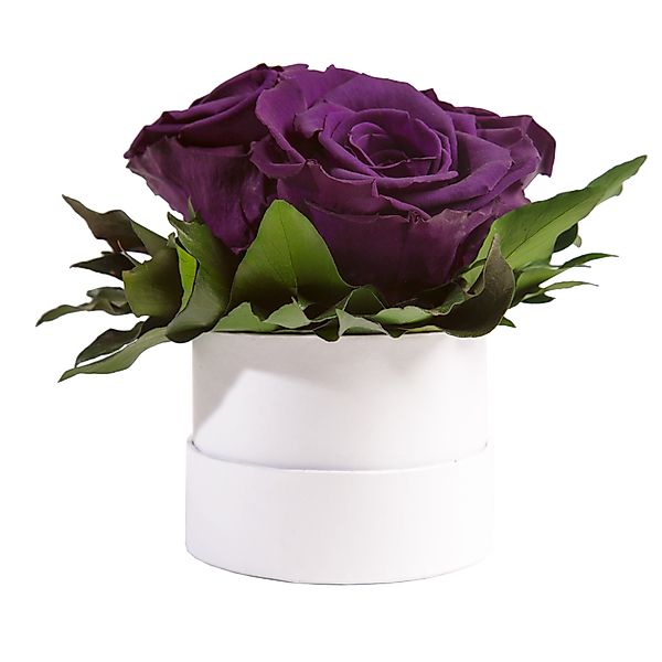 Kunstblume Rosenbox weiß rund 3 echte günstig online kaufen