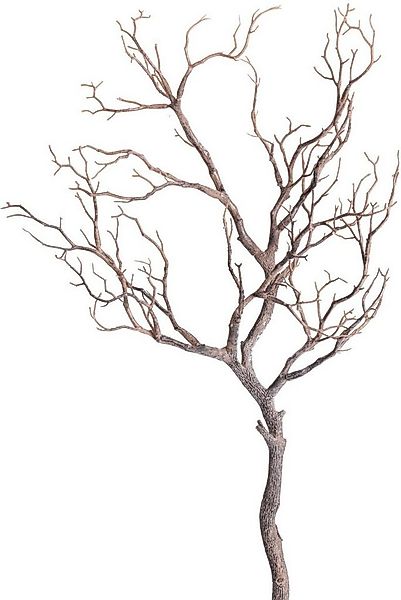 Kunstzweig Deko-Ast Zweig, Botanic-Haus, Höhe 96 cm günstig online kaufen