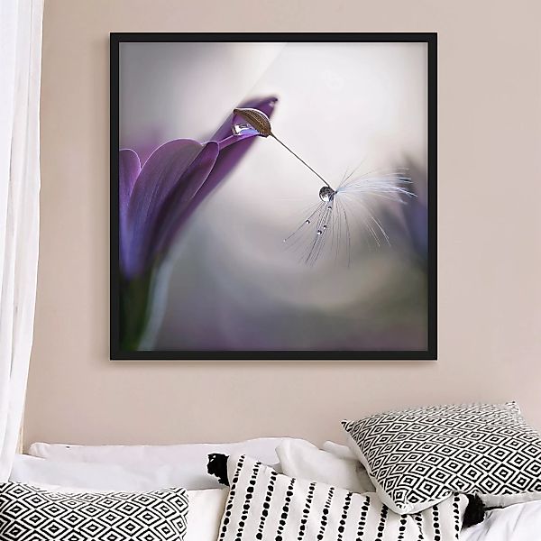 Bild mit Rahmen Blumen - Quadrat Purple Rain günstig online kaufen