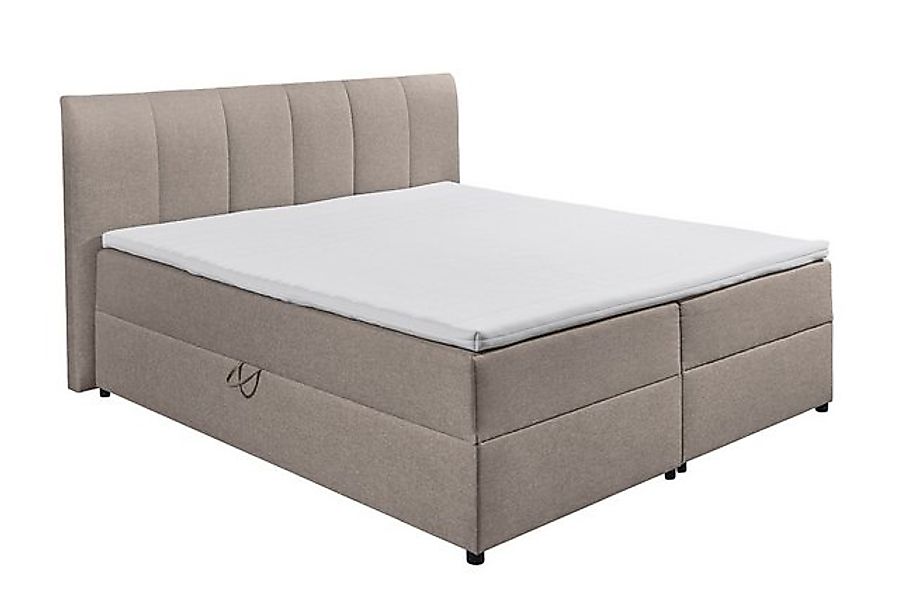 riess-ambiente Boxspringbett MARSEILLE 180x200cm taupe – mit Topper, Matrat günstig online kaufen