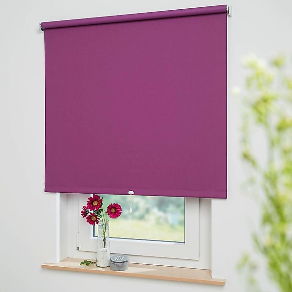 Liedeco Springrollo »Uni« verdunkelnd mit Bohren freihängend Rollowelle 36 günstig online kaufen