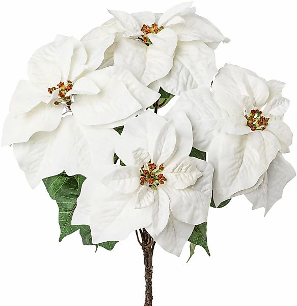 Winterliche Kunstpflanze Weihnachtsdeko Weihnachtsstern, Creativ deco, Höhe günstig online kaufen