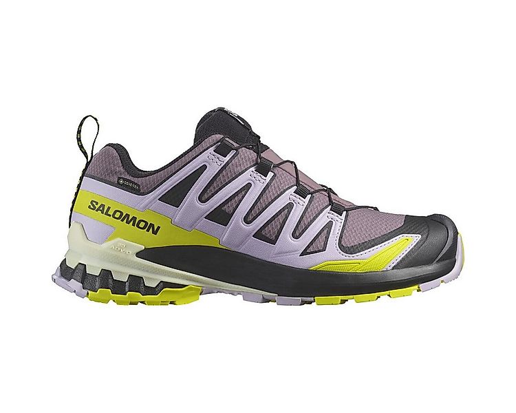 Salomon XA PRO 3D V9 GTX W Outdoorschuh günstig online kaufen
