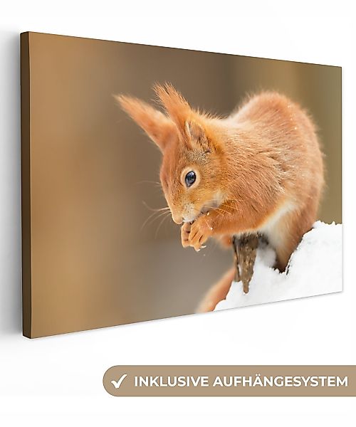 OneMillionCanvasses® Leinwandbild Eichhörnchen mit roter Farbe, günstig online kaufen