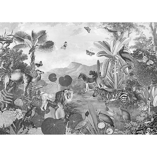 Komar Vliesfototapete Flora and Fauna 350 cm x 250 cm günstig online kaufen