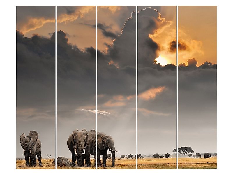 Bilderdepot24 Schiebegardine modern Flächenvorhang blickdicht Elefanten günstig online kaufen