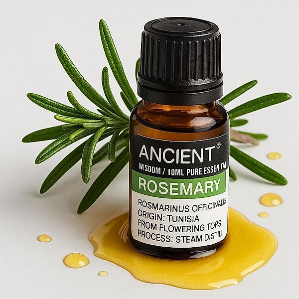 Bali-Homedecor Duftlampe Ätherisches Rosmarinöl 10ml Rosmarin günstig online kaufen