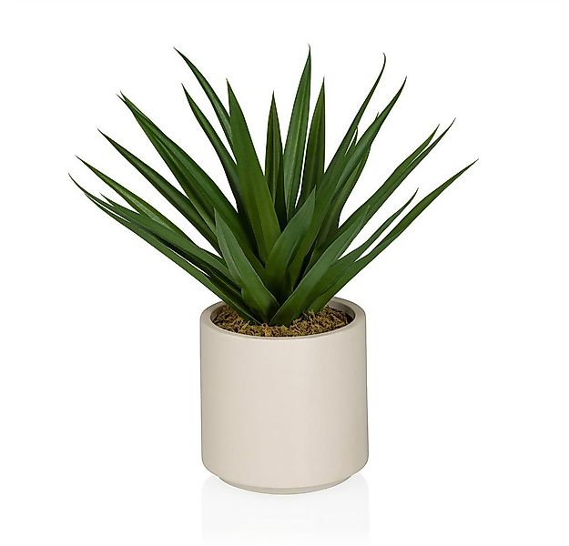 Kunstpflanze Kunstpflanze Agave Kunststoff, Stoff Agave, hjh OFFICE, Höhe 4 günstig online kaufen