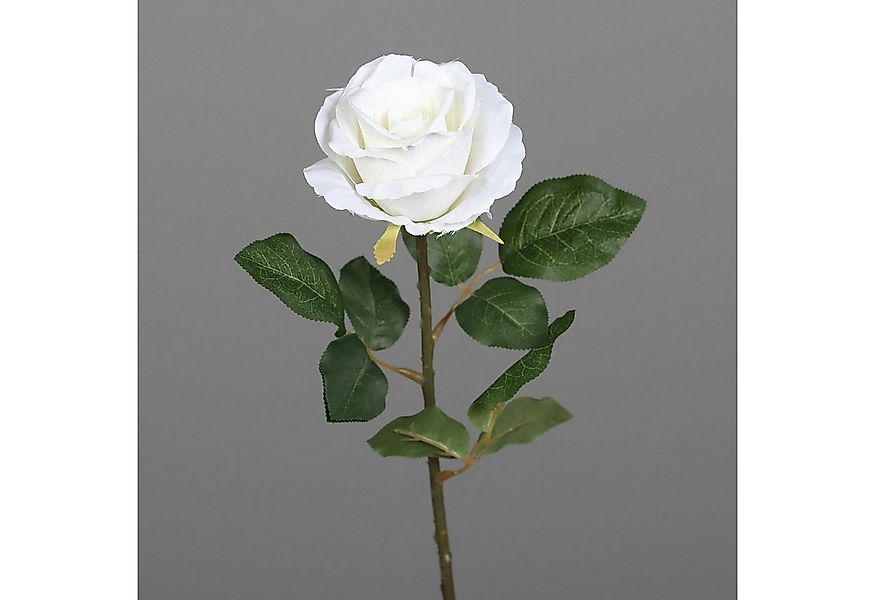 Kunstblume Weiß, Durchmesser 10 cm, DPI, Höhe 48 cm, Höhe: 48cm, Farbe: Wei günstig online kaufen