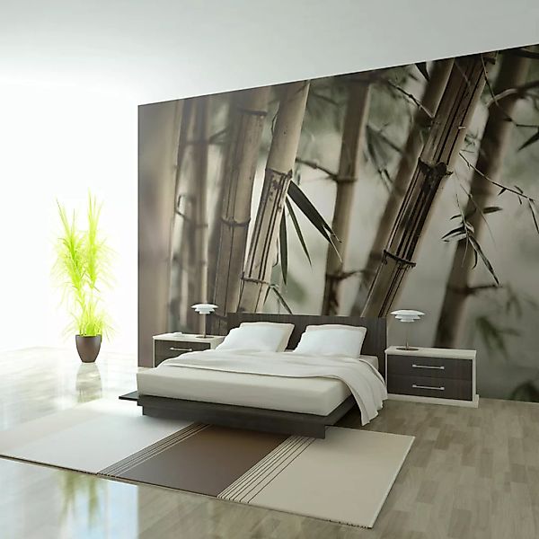 Fototapete - Fog and bamboo forest günstig online kaufen