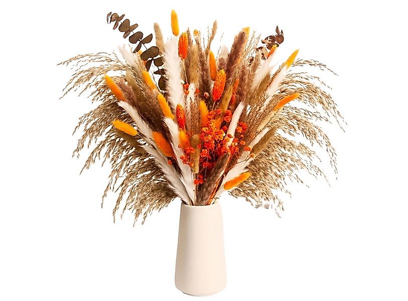 Trockenblume Trockenblumenstrauß Herbststrauß,Deko Blumenstrauß, Coonoor, f günstig online kaufen