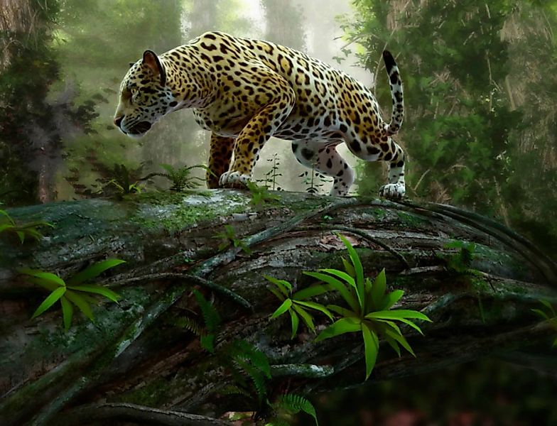 Papermoon Fototapete »Jaguar on the Prowl« günstig online kaufen