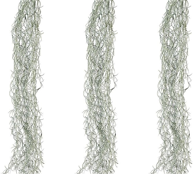 Kunstranke Tillandsienranke Farn, Creativ green, Höhe günstig online kaufen