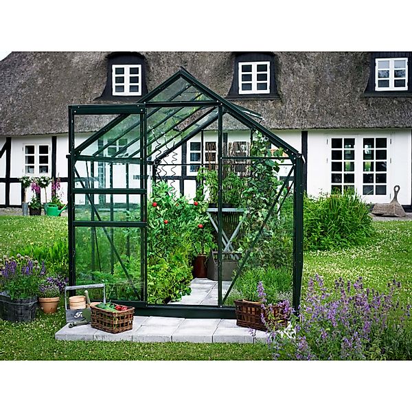 Halls Gewächshaus Popular 106 Grün 6,2 m² günstig online kaufen