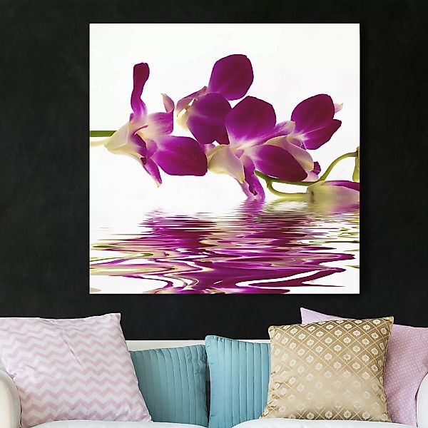 Leinwandbild Blumen - Quadrat Pink Orchid Waters günstig online kaufen