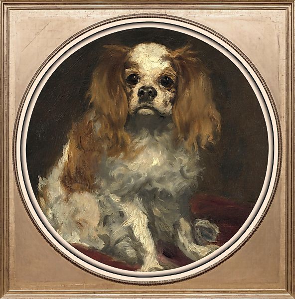 queence Acrylglasbild »Hund«, Haustiere-Gemälde-Kunst-Hund-Hunde-Hundebilde günstig online kaufen