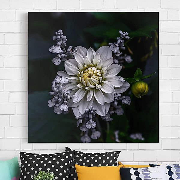 Leinwandbild Blumen - Quadrat Weiße Dahlie günstig online kaufen