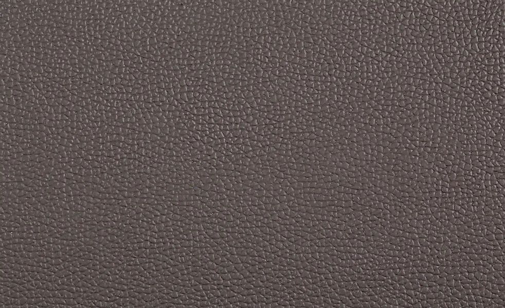 MCA furniture Freischwinger "Arco" (Set) 2 Stk. Leder Stuhl mit Echtlederbe günstig online kaufen