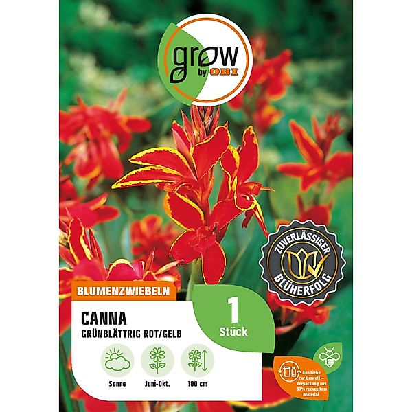 GROW by OBI Canna Grünblättrig Rot-Gelb Höhe ca. 100 cm Canna indica günstig online kaufen