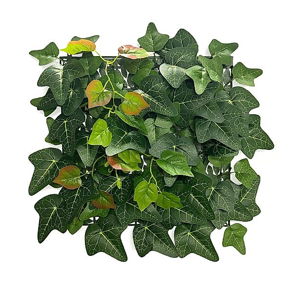 Kunstpflanze Pflanzenwand Ivy, Efeu-Blätter in verschiedenen günstig online kaufen