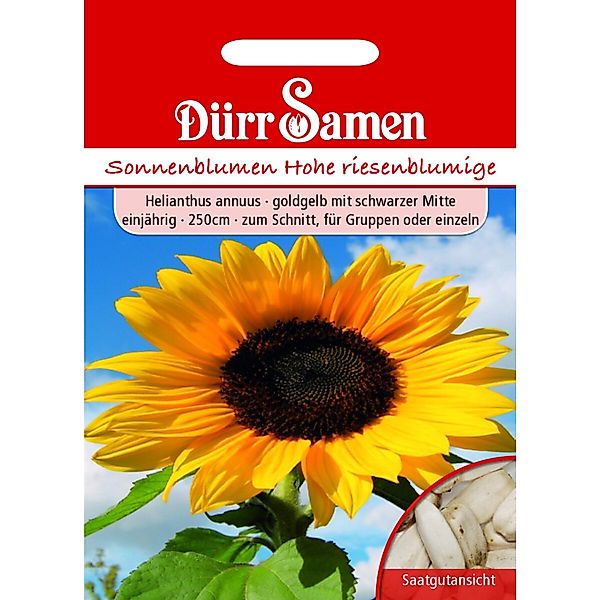 Dürr Samen Sonnenblume Hohe Riesen Goldgelb Mit Schwarzer Mitte Saatgut günstig online kaufen