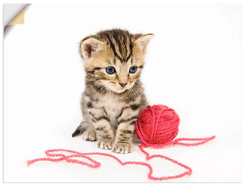 Artland Wandbild "Kätzchen mit rotem Garnball", Haustiere, (1 St.) günstig online kaufen