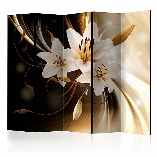 5-teiliges Paravent - Circle Of Light Ii [room Dividers] günstig online kaufen