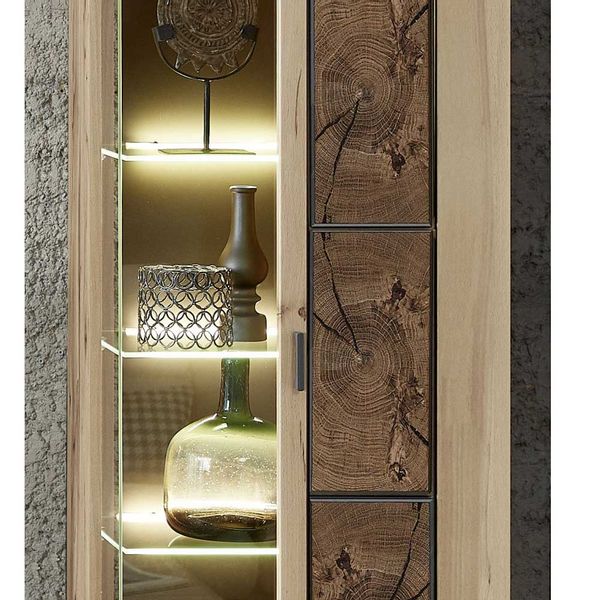 Wandvitrine in Wildeiche Hirnholz Optik modern günstig online kaufen